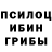 Псилоцибиновые грибы Psilocybe Volodymyr. Dziubak